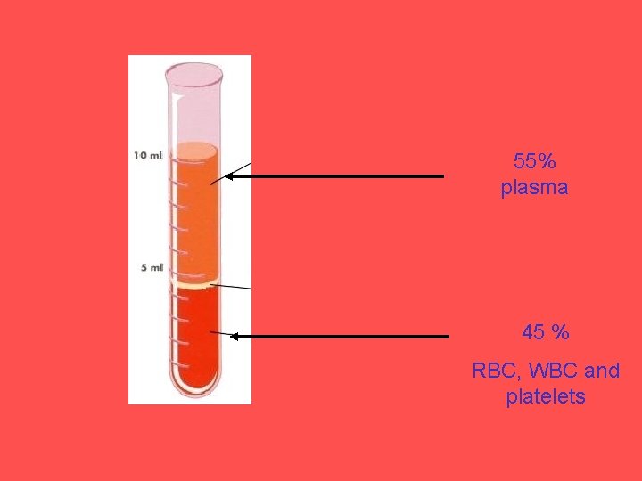 55% plasma 45 % RBC, WBC and platelets 