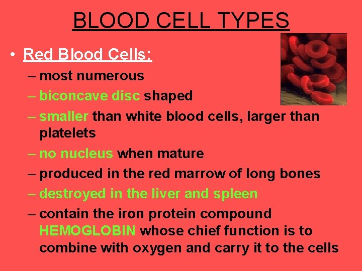 BLOOD CELL TYPES • Red Blood Cells: – most numerous – biconcave disc shaped
