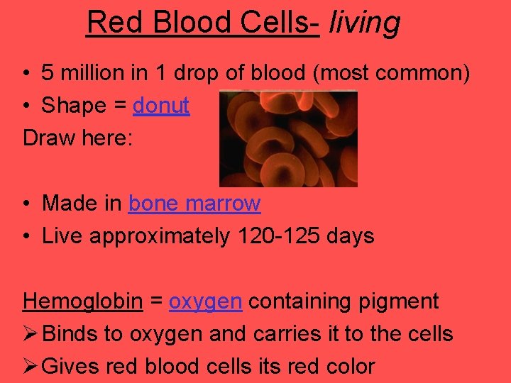 Red Blood Cells- living • 5 million in 1 drop of blood (most common)