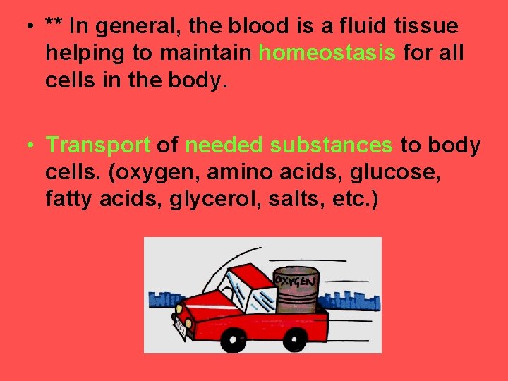 • ** In general, the blood is a fluid tissue helping to maintain
