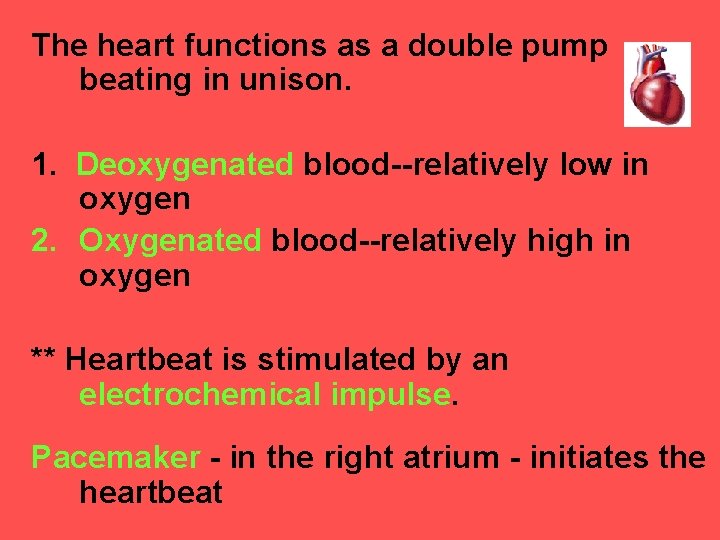 The heart functions as a double pump beating in unison. 1. Deoxygenated blood--relatively low