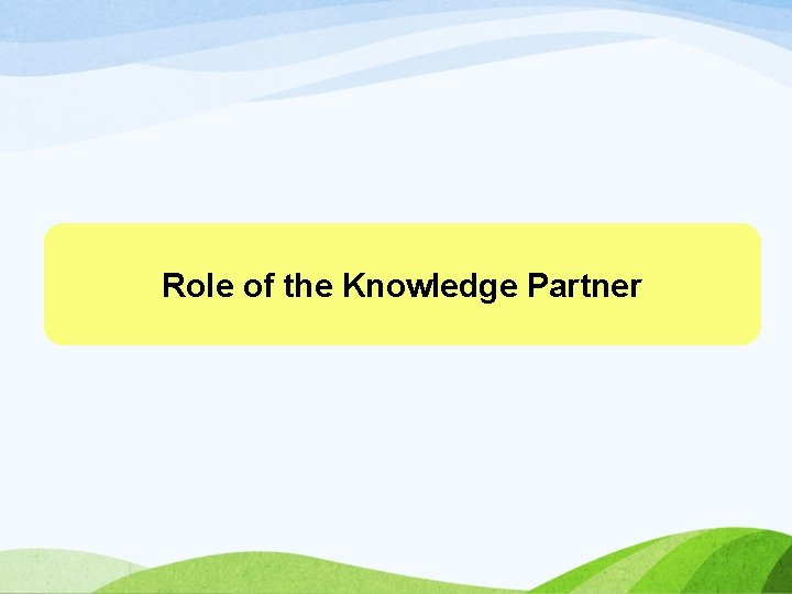 Role of the Knowledge Partner 