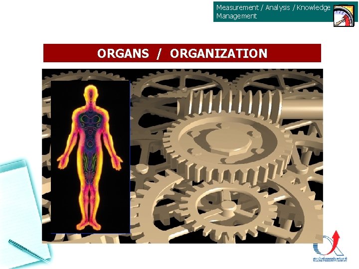 Measurement / Analysis / Knowledge Management ORGANS / ORGANIZATION Measurement / Analysis / Knowledge Management ORGANS / ORGANIZATION