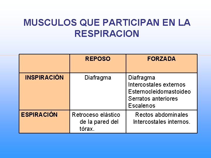 MUSCULOS QUE PARTICIPAN EN LA RESPIRACION REPOSO INSPIRACIÓN ESPIRACIÓN Diafragma Retroceso elástico de la