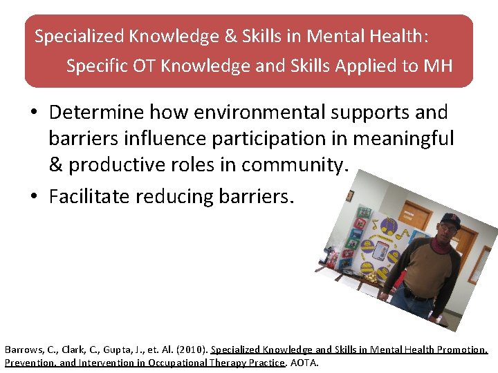 Specialized Knowledge & Skills in Mental Health: Specific OT Knowledge and Skills Applied to