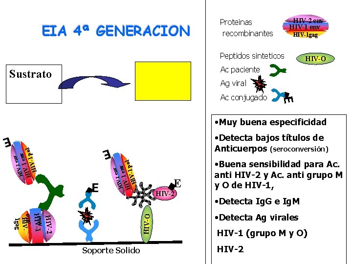 EIA 4ª GENERACION HIV-2 env HIV-1 env Proteinas recombinantes HIV-1 gag Peptidos sinteticos HIV-O