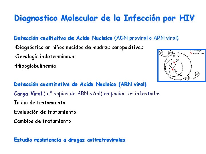 Diagnostico Molecular de la Infección por HIV Detección cualitativa de Acido Nucleico (ADN proviral