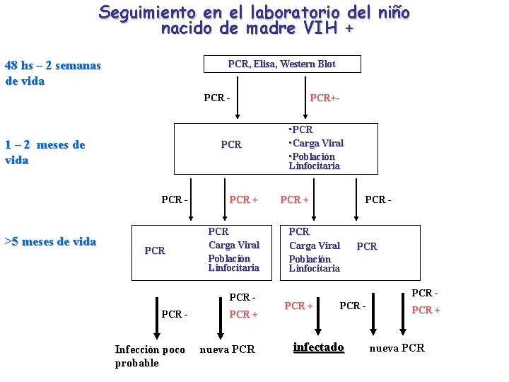 Seguimiento en el laboratorio del niño nacido de madre VIH + 48 hs –