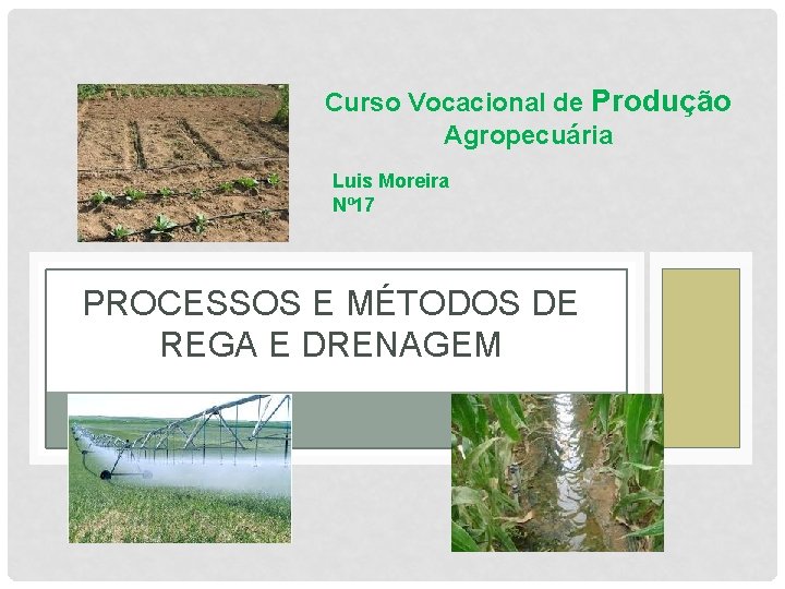 Curso Vocacional de Produção Agropecuária Luis Moreira Nº 17 PROCESSOS E MÉTODOS DE REGA