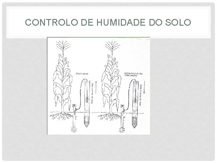 CONTROLO DE HUMIDADE DO SOLO 