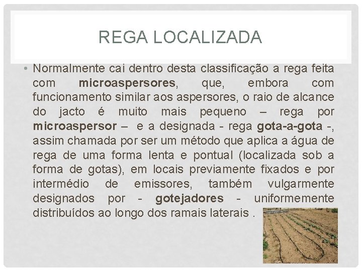 REGA LOCALIZADA • Normalmente cai dentro desta classificação a rega feita com microaspersores, que,