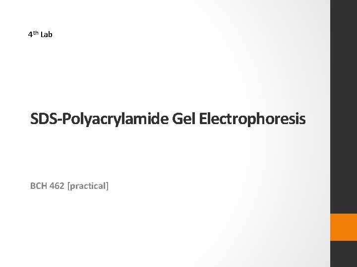 4 th Lab SDS-Polyacrylamide Gel Electrophoresis BCH 462 [practical] 