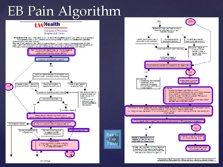 EB Pain Algorithm Back to Key Points 