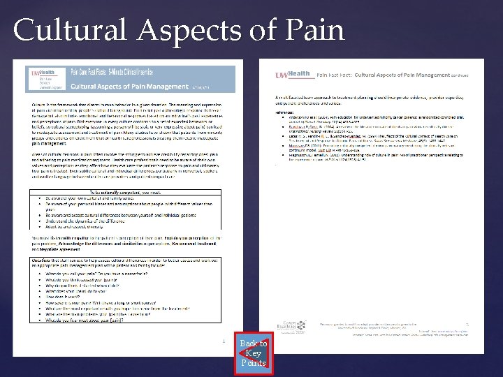 Cultural Aspects of Pain Back to Key Points 