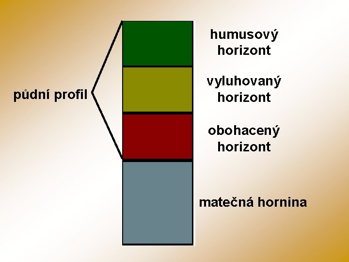 humusový horizont půdní profil vyluhovaný horizont obohacený horizont matečná hornina 