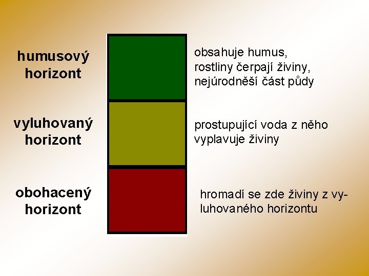 humusový horizont obsahuje humus, rostliny čerpají živiny, nejúrodněší část půdy vyluhovaný horizont prostupující voda