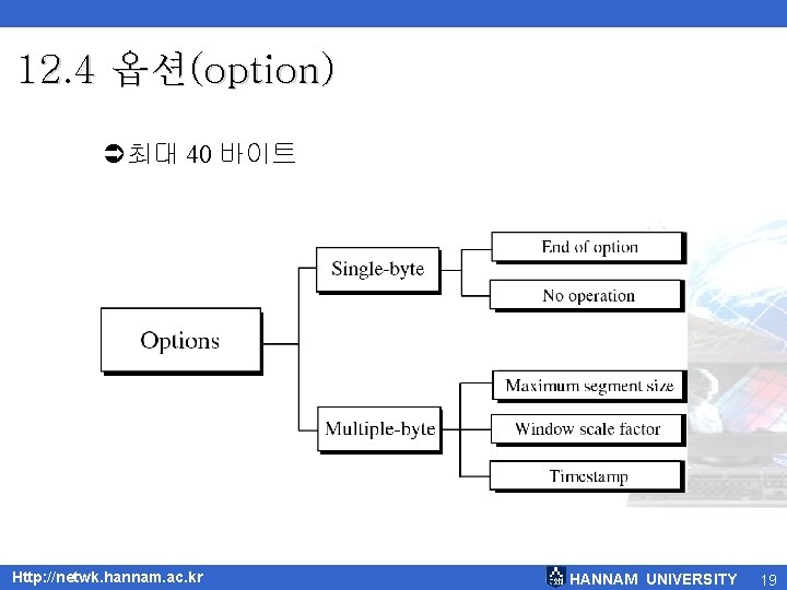 12. 4 옵션(option) Ü최대 40 바이트 Http: //netwk. hannam. ac. kr HANNAM UNIVERSITY 19