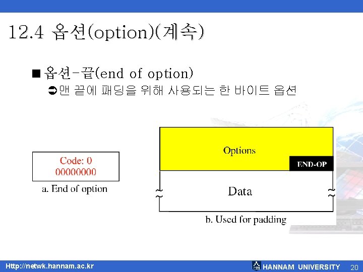 12. 4 옵션(option)(계속) <옵션-끝(end of option) Ü맨 끝에 패딩을 위해 사용되는 한 바이트 옵션