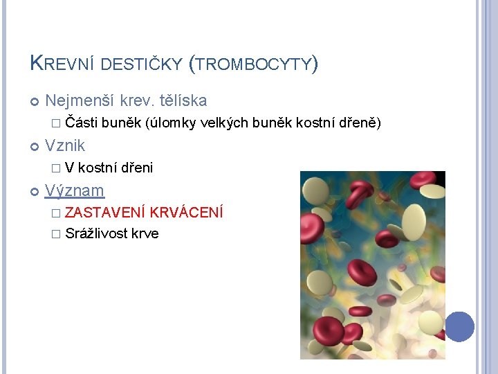 KREVNÍ DESTIČKY (TROMBOCYTY) Nejmenší krev. tělíska � Části Vznik �V buněk (úlomky velkých buněk