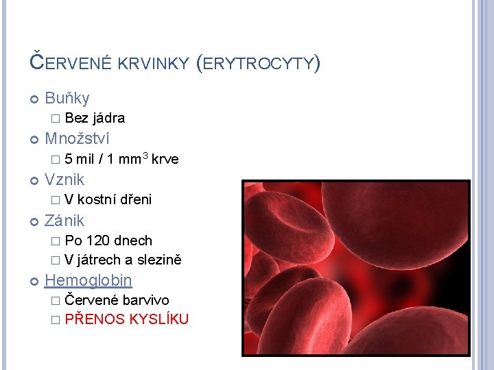 ČERVENÉ KRVINKY (ERYTROCYTY) Buňky � Bez Množství � 5 mil / 1 mm 3