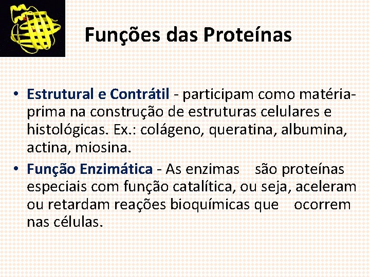 Funções das Proteínas • Estrutural e Contrátil - participam como matériaprima na construção de