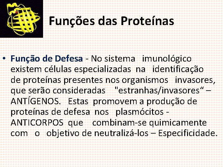 Funções das Proteínas • Função de Defesa - No sistema imunológico existem células especializadas