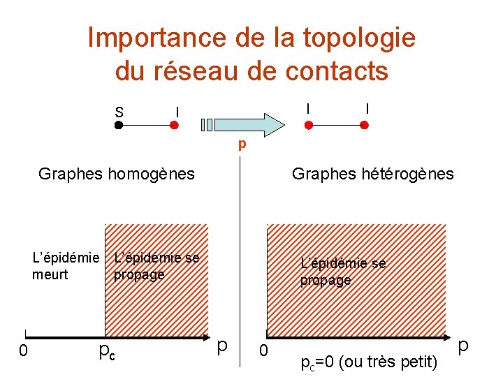 Importance de la topologie du réseau de contacts S I I I p Graphes