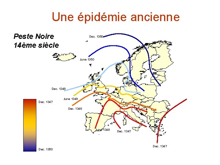Une épidémie ancienne Peste Noire 14ème siècle Dec. 1350 June 1350 Dec. 1349 Dec.