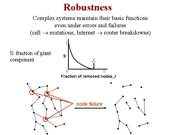 Robustness Complex systems maintain their basic functions even under errors and failures (cell mutations;