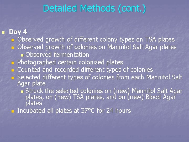 Detailed Methods (cont. ) n Day 4 n Observed growth of different colony types