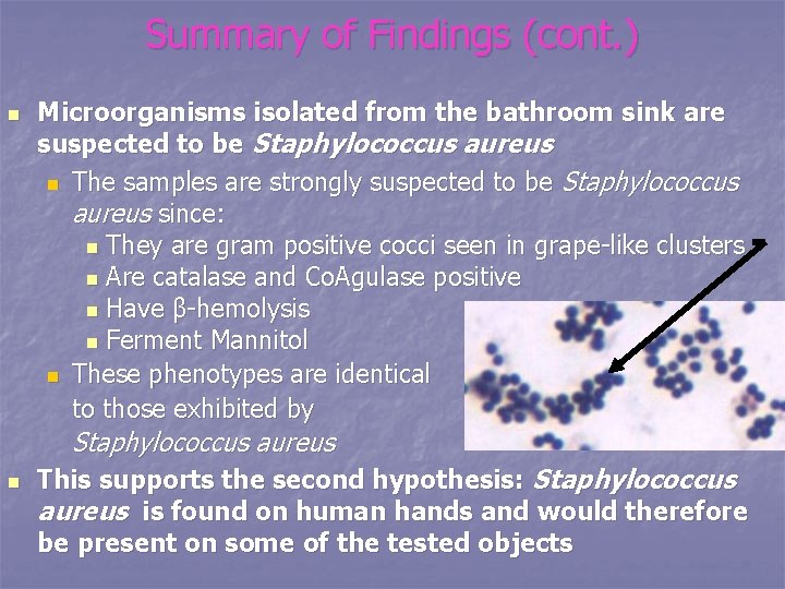 Summary of Findings (cont. ) n Microorganisms isolated from the bathroom sink are suspected