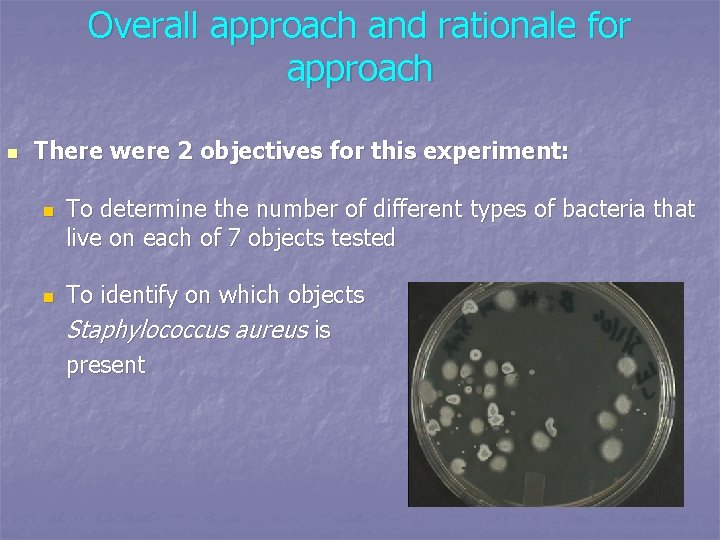 Overall approach and rationale for approach n There were 2 objectives for this experiment: