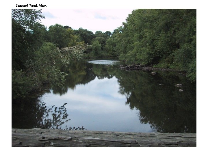 Concord Pond, Mass. 