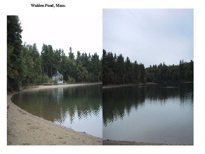 Walden Pond, Mass. 