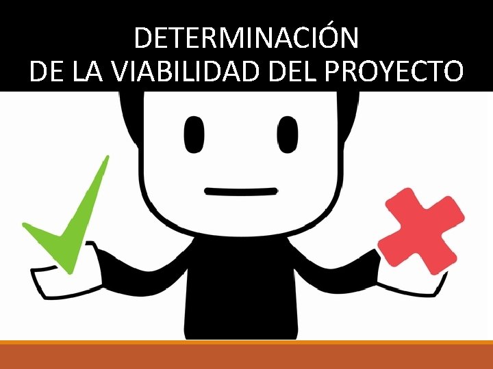 DETERMINACIÓN DE LA VIABILIDAD DEL PROYECTO 