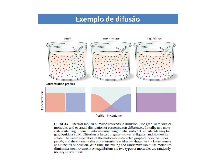Exemplo de difusão Exemplo de difusão