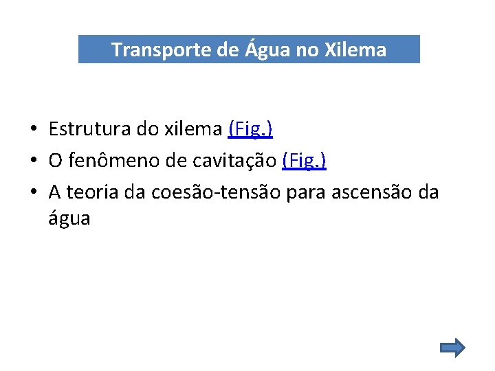 Transporte de Água no Xilema • Estrutura do xilema (Fig. ) • O fenômeno Transporte de Água no Xilema • Estrutura do xilema (Fig. ) • O fenômeno