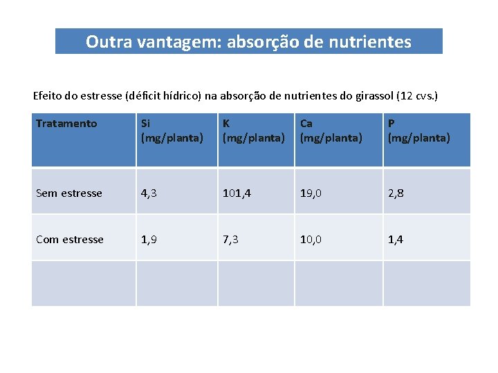 Outra vantagem: absorção de nutrientes Efeito do estresse (déficit hídrico) na absorção de nutrientes Outra vantagem: absorção de nutrientes Efeito do estresse (déficit hídrico) na absorção de nutrientes