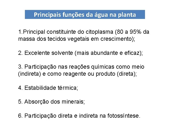 Principais funções da água na planta 1. Principal constituinte do citoplasma (80 a 95% Principais funções da água na planta 1. Principal constituinte do citoplasma (80 a 95%