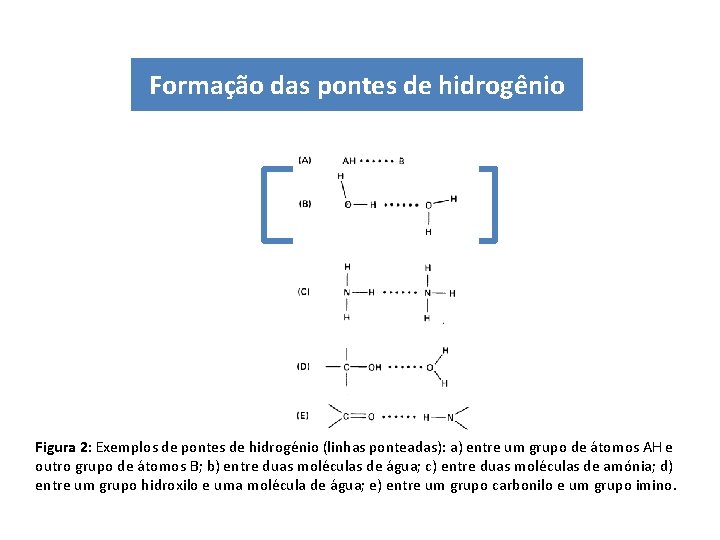 Formação das pontes de hidrogênio Figura 2: Exemplos de pontes de hidrogénio (linhas ponteadas): Formação das pontes de hidrogênio Figura 2: Exemplos de pontes de hidrogénio (linhas ponteadas):