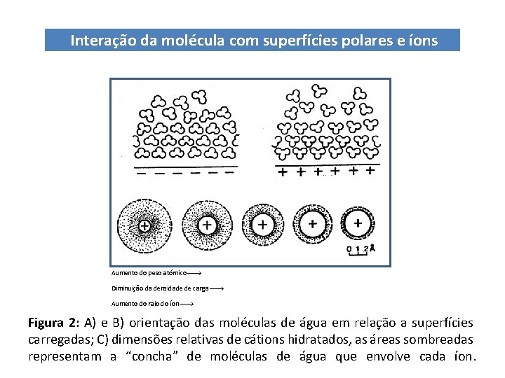 Interação da molécula com superfícies polares e íons Aumento do peso atómico Diminuição da Interação da molécula com superfícies polares e íons Aumento do peso atómico Diminuição da