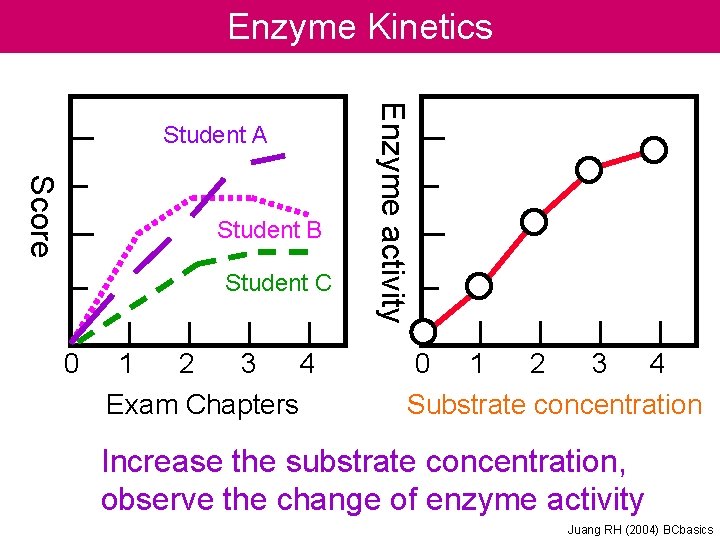 Enzyme Kinetics Score Student B Student C 0 1 2 3 4 Exam Chapters