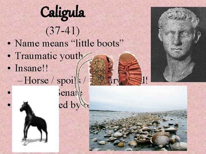 Caligula (37 -41) • Name means “little boots” • Traumatic youth • Insane!! –