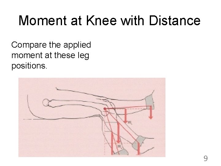 Moment at Knee with Distance Compare the applied moment at these leg positions. 9