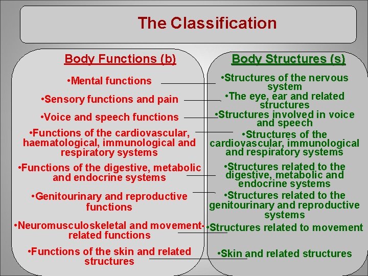 The Classification Body Functions (b) Body Structures (s) • Structures of the nervous system