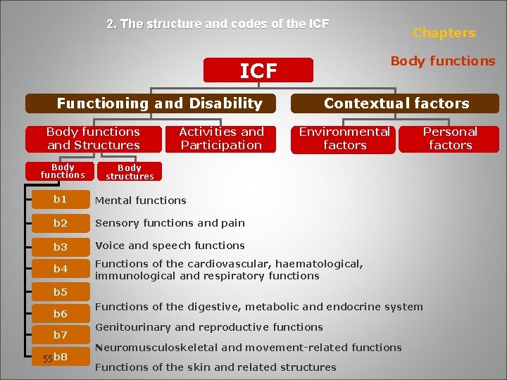 2. The structure and codes of the ICF Body functions ICF Contextual factors Functioning