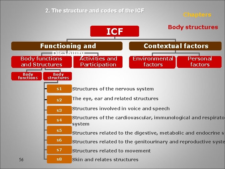 2. The structure and codes of the ICF Body structures ICF Functioning and Disability