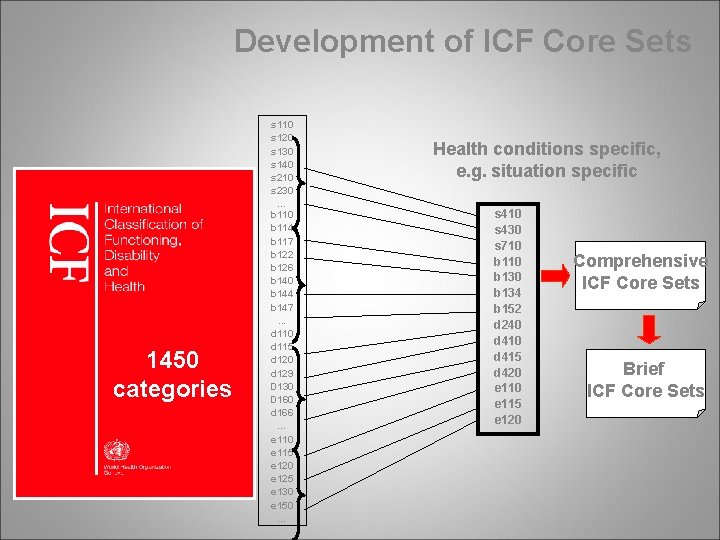 Development of ICF Core Sets 1450 categories s 110 s 120 s 130 s
