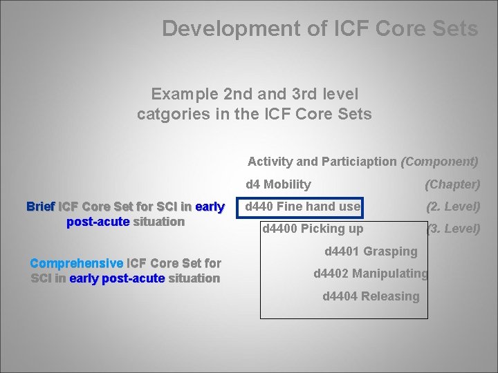 Development of ICF Core Sets Example 2 nd and 3 rd level catgories in