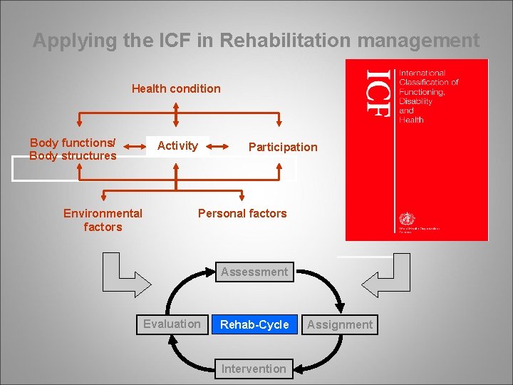 Applying the ICF in Rehabilitation management Health condition Body functions/ Body structures Environmental factors